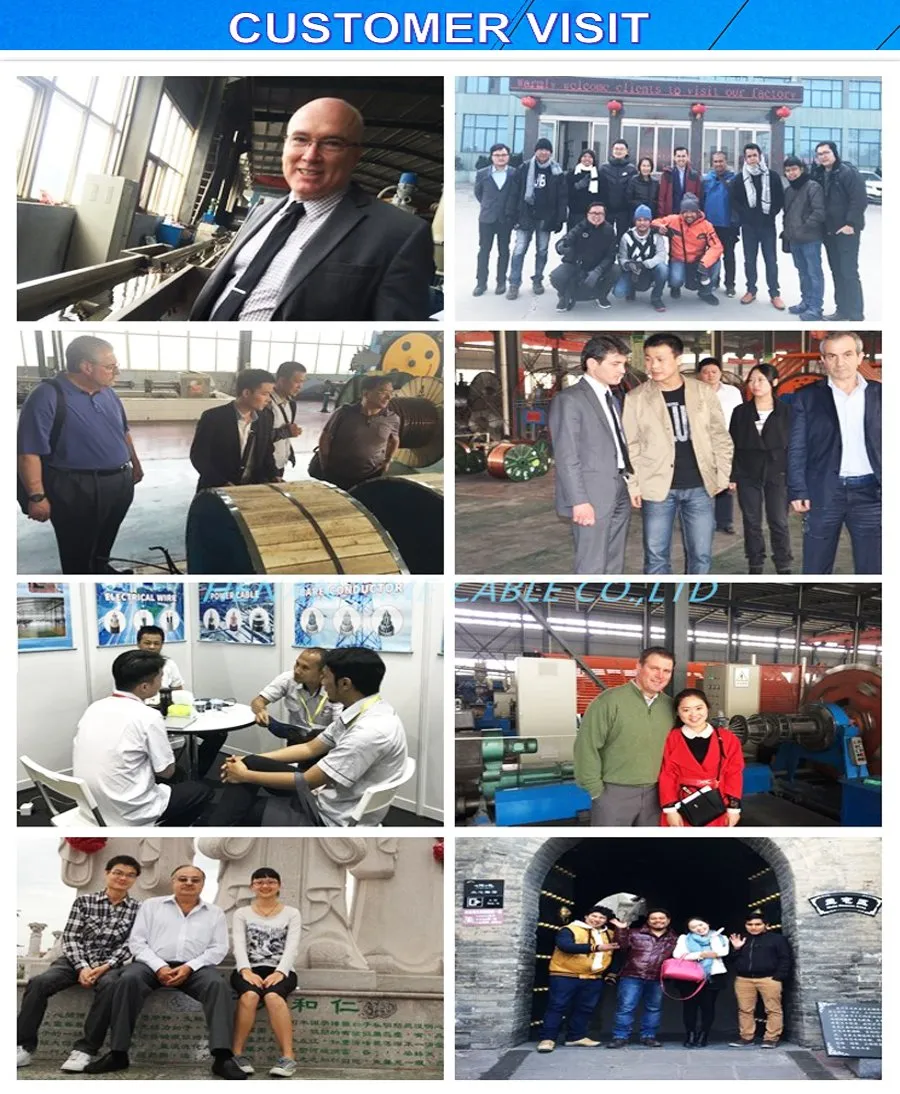 전력 전송선용 XLPE/PE/PVC 절연 드롭 서비스 공중 번들 케이블 AAC/AAAC/ACSR 6
