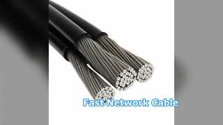 빠른 Cat 5e 이더넷 케이블 네트워크 속도